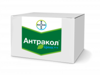 Антракол