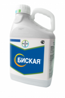 Биская, МД 