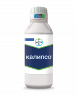 Калипсо, КС 