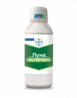  ЛУНА ЭКСПИРИЕНС