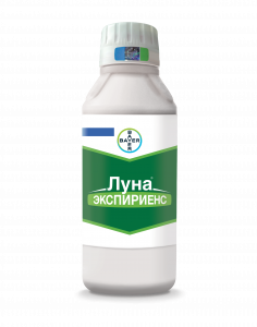  ЛУНА ЭКСПИРИЕНС