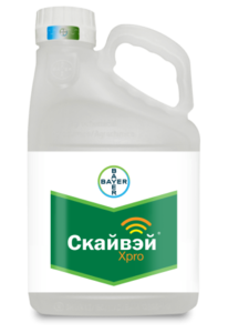 Скайвей