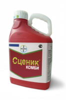 Сценик Комби, КС