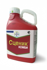 Сценик Комби, КС