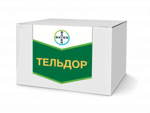 ТЕЛЬДОР